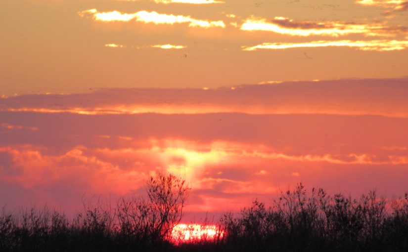 Photo: sunrise near Kearney & Gibbon, NE