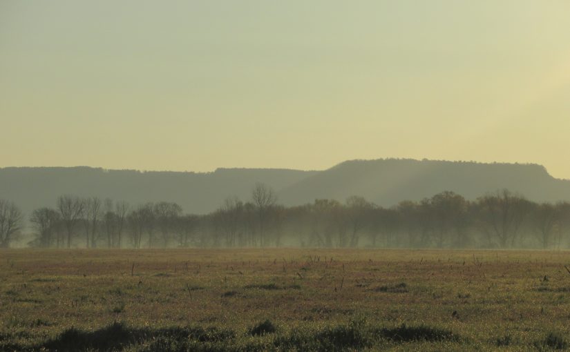 Photo: sunrise near Pontoon, AR