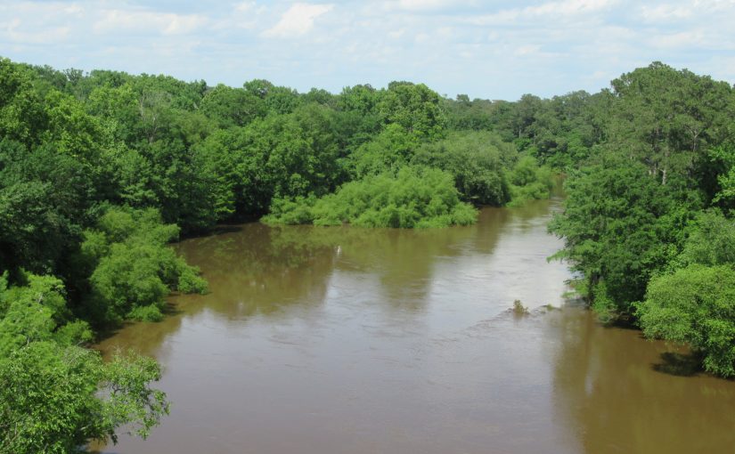 Photo: Cliffs of the Neuse State Park, NC