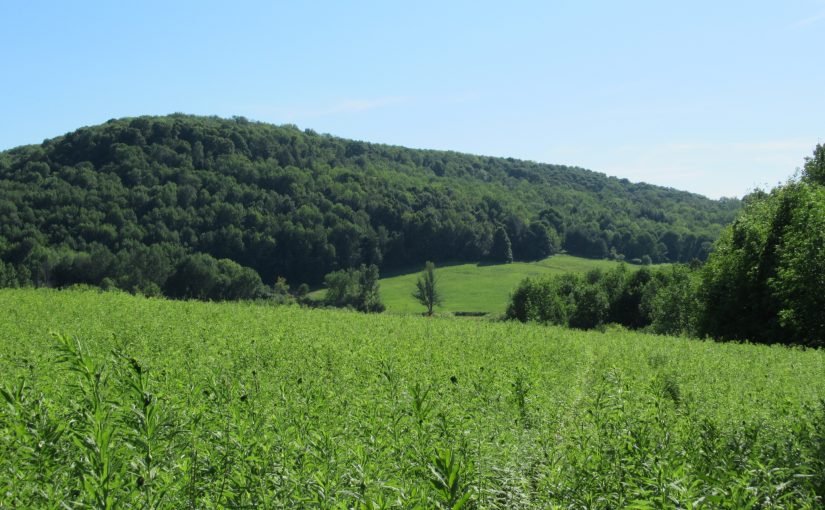 Photo: view from Scenic View Campground, West Winfield, NY