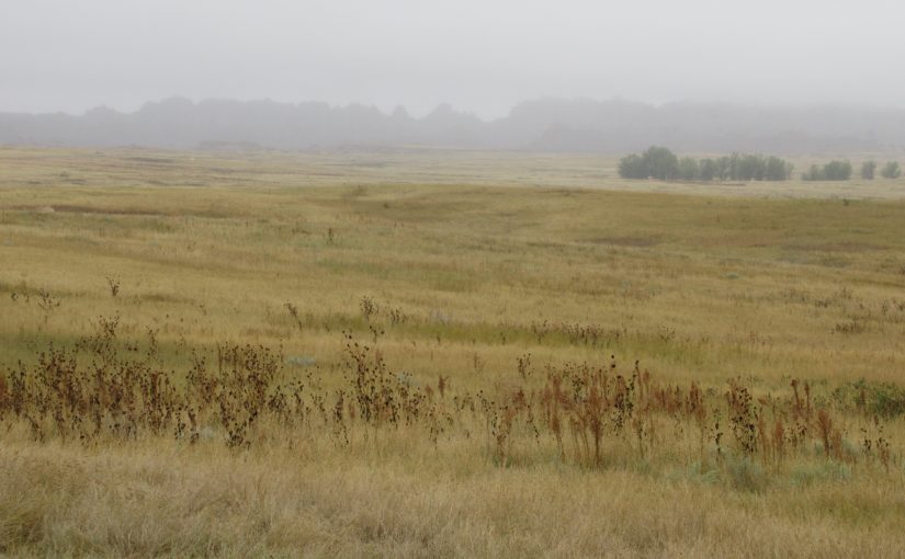 Photo: Badlands National Park, SD