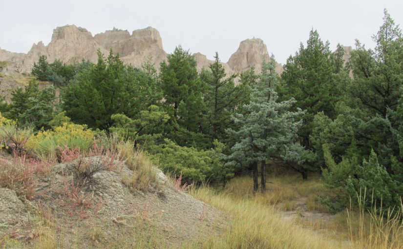 Photo: Badlands National Park, SD