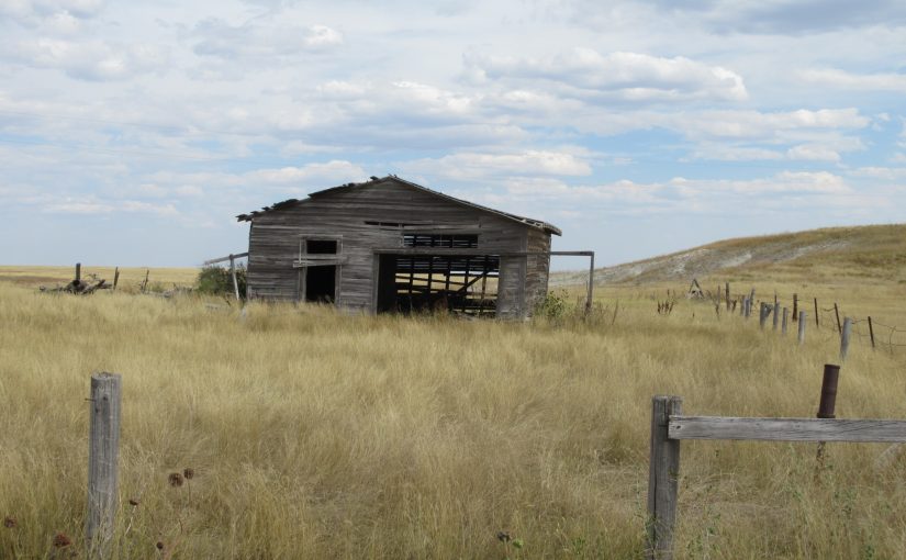 Photo: near Joder, NE