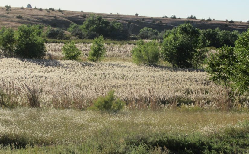 Photo: Cedar Bluff State Park, KS