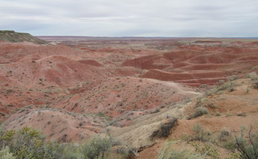 Photo: Petrified Forest National Park, AZ