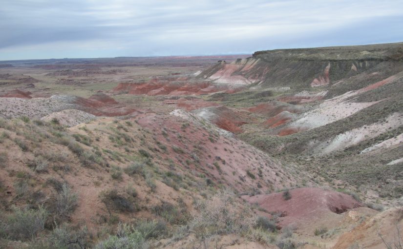 Photo: Petrified Forest National Park, AZ