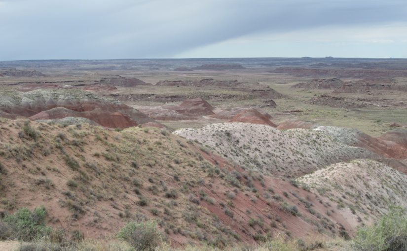 Photo: Petrified Forest National Park, AZ