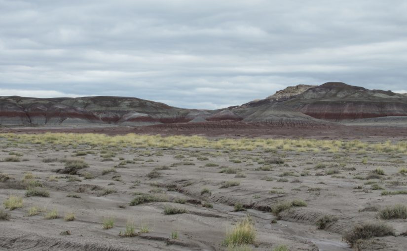 Photo: Petrified Forest National Park, AZ