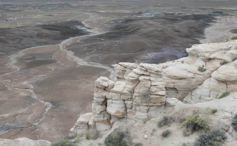 Photo: Petrified Forest National Park, AZ