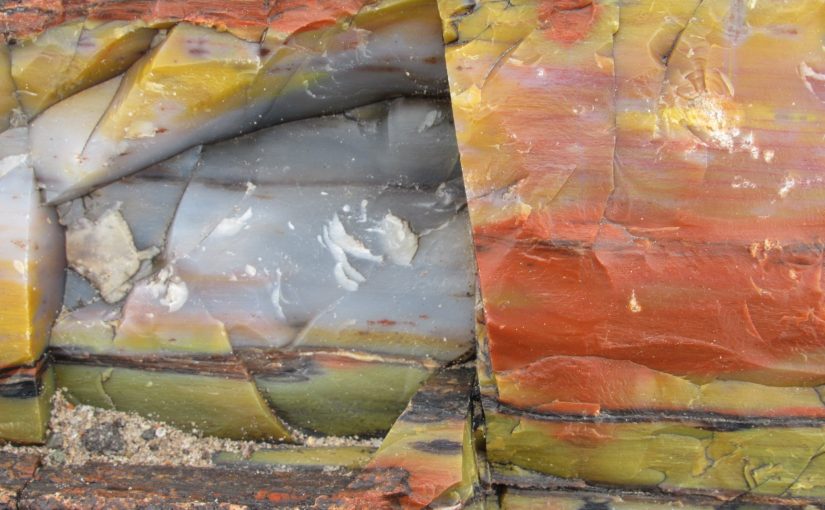 Photo: Petrified Forest National Park, AZ