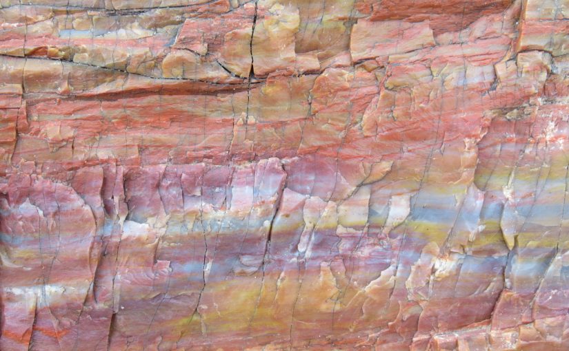 Photo: Petrified Forest National Park, AZ