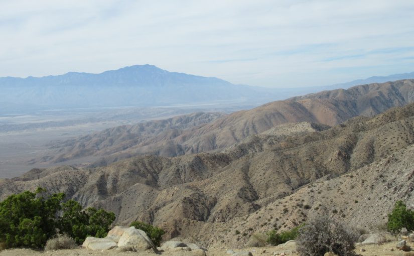 Photo: Joshua Tree National Park, CA