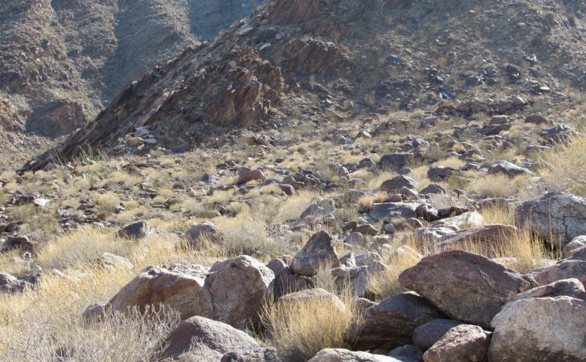 Photo: Anza-Borrego State Park, CA