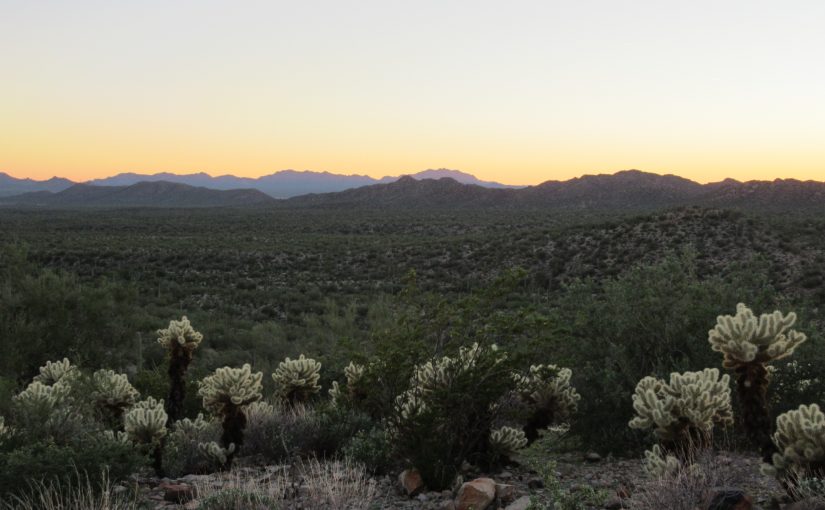 Photo: Organ Pipe Cactus National Monument, AZ