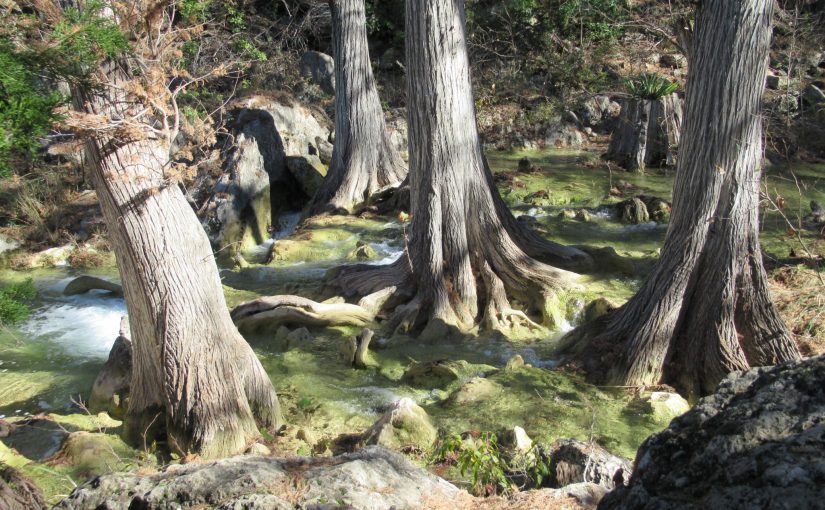 Photo: Hamilton Pool Preserve, Dripping Springs, TX